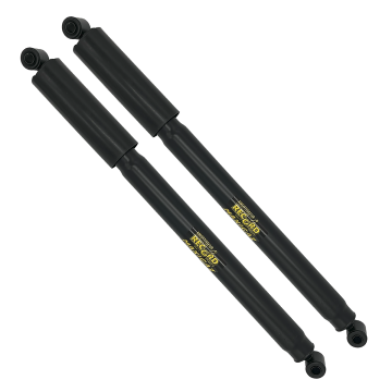 LOT DE 2 AMORTISSEURS ARRIÈRE RECORD POUR ACADIANE - QUALITE PREMIUM