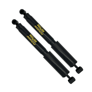 LOT DE 2 AMORTISSEURS RECORD POUR ACADIANE AK400 AMI 8 ET MÉHARI 4X4 - QUALITE PREMIUM