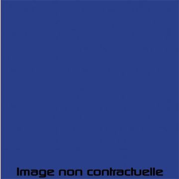 PEINTURE BLEUE POUR MÉHARI AZUR - AC 356