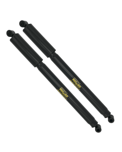 LOT DE 2 AMORTISSEURS ARRIÈRE RECORD POUR ACADIANE - QUALITE PREMIUM