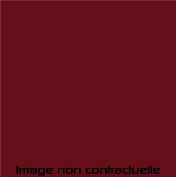 Peinture Rouge Castille pour 2CV 1981 -> 1982 - AC 442