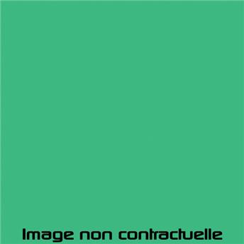 Peinture Vert Embrun pour 2CV 1961 -> 1964 - AC 511