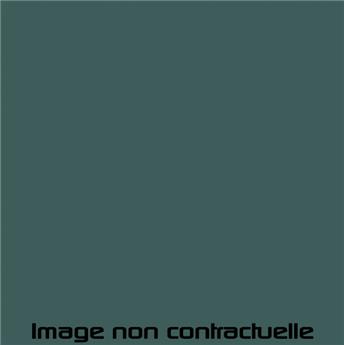 Peinture Vert Cactée pour 2CV 1969 - AC 513