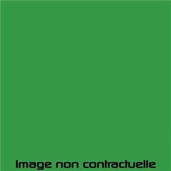 Peinture Vert Palmeraie pour 2CV 1974 - AC 529