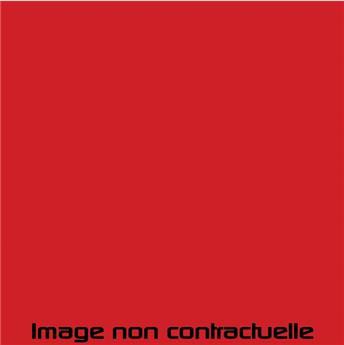 Bombe de peinture Rouge Cinabre pour 2CV de 1967 - AC 402 - 298 ml