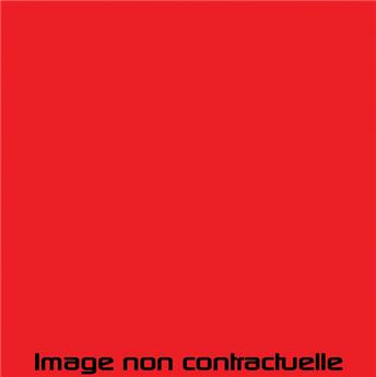 Bombe de peinture Rouge de Rio pour 2CV de 1972  -> 1975 - AC 424 - 298 ml