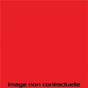 Bombe de peinture Rouge Vallelunga pour 2CV de 1984  -> 1990 - AC 448, GKB ou EKB - 298 ml