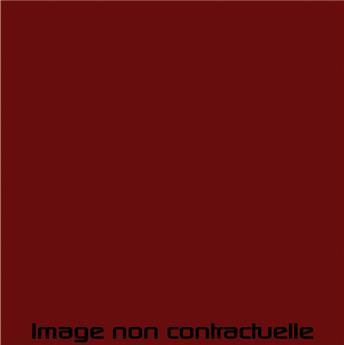 Bombe de peinture Rouge Delage pour 2CV Charleston de 1981 -> 1990 - AC 446 - 298 ml