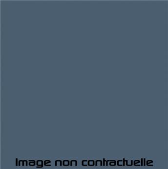 Bombe de peinture Bleu Azurite pour 2CV 1980  -> 1981- AC 650 - 298 ml