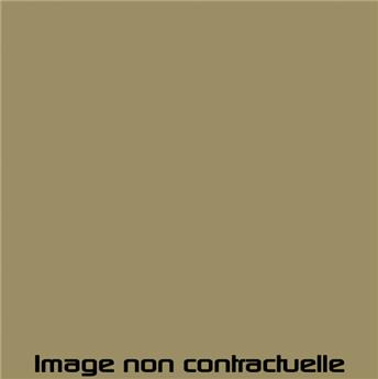 Bombe de peinture Beige Vanneau pour 2CV 1975  -> 1976 - AC 083 - 298 ml