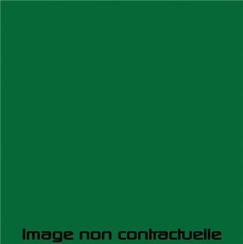 Bombe de peinture Vert Tuilerie pour 2CV de 1975 - AC 531 - 298 ml