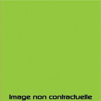 Bombe de peinture Vert Tibesti pour Méhari - AC 400 - 298 ml
