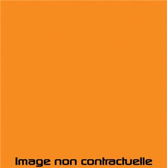 Bombe de peinture Mandarine pour 2CV 1979  -> 1980 - AC 437 - 298 ml